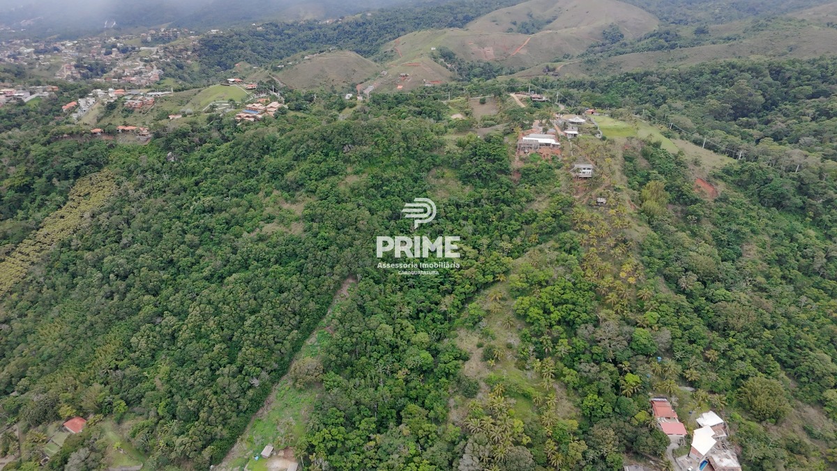 Terreno, 3 hectares - Foto 3