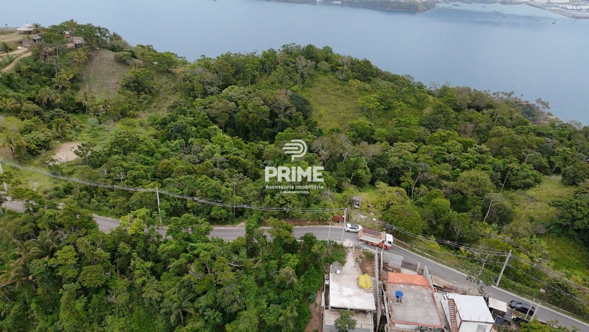 Terreno, 3 hectares - Foto 4