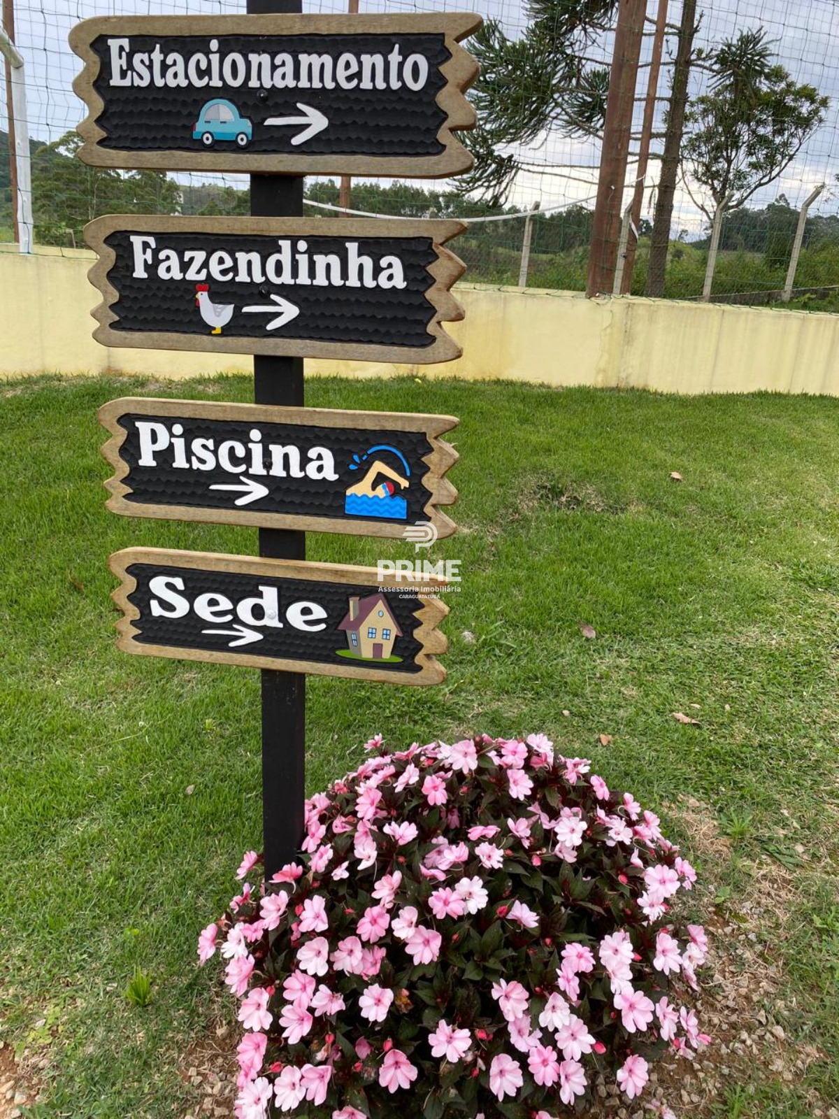 Fazenda, 2 hectares - Foto 17