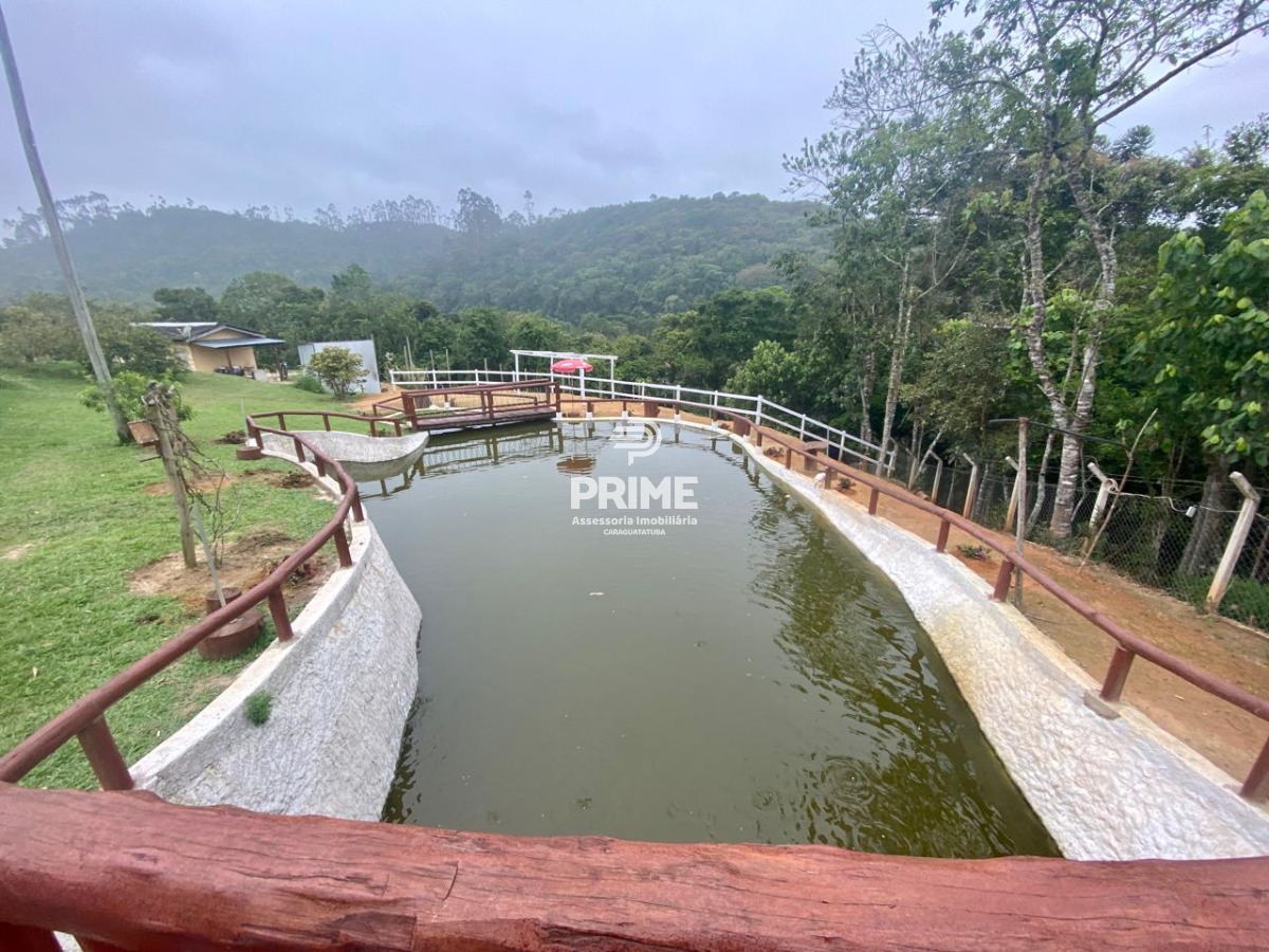 Fazenda, 2 hectares - Foto 10